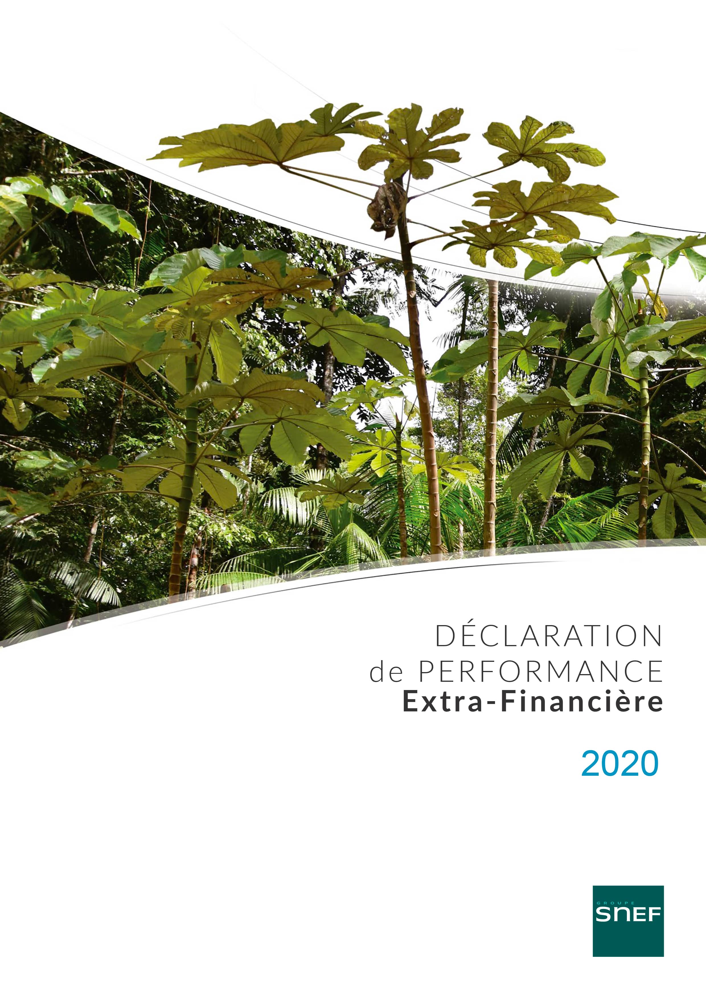 Déclaration de Performance Extra-Financière 2020